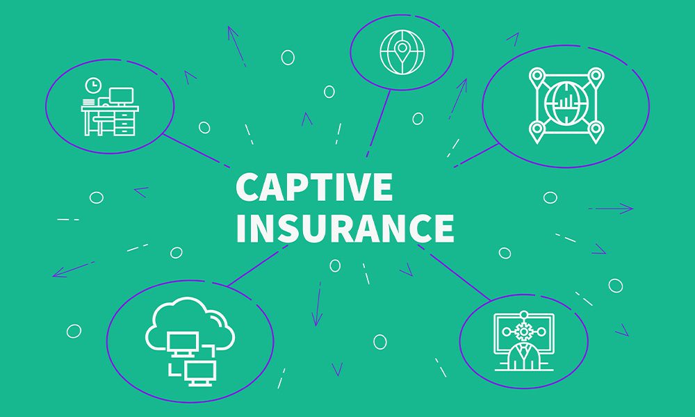 Blog-How-to-Choose-Best-Captive-for-Your-Company